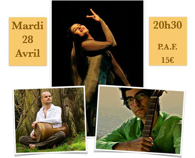 برگزاری کنسرت موسیقی و رقص سنتی ایرانی در لیون