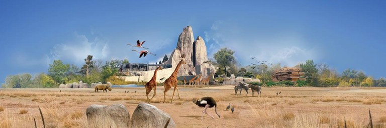 معرفی باغ وحش بزرگ پاریس