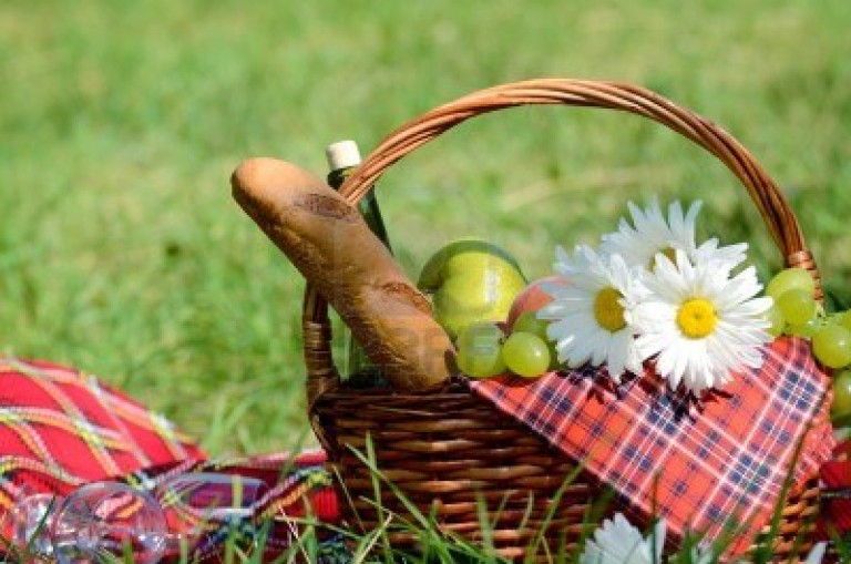 نهمین پیک نیک گروهی در طبیعت