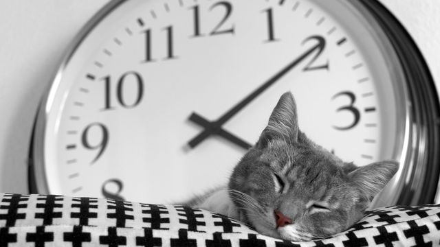 یکشنبه 29 اکتبر تغییر ساعت را فراموش نکنید