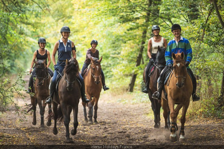 معرفی بیشه ونسن در پاریس