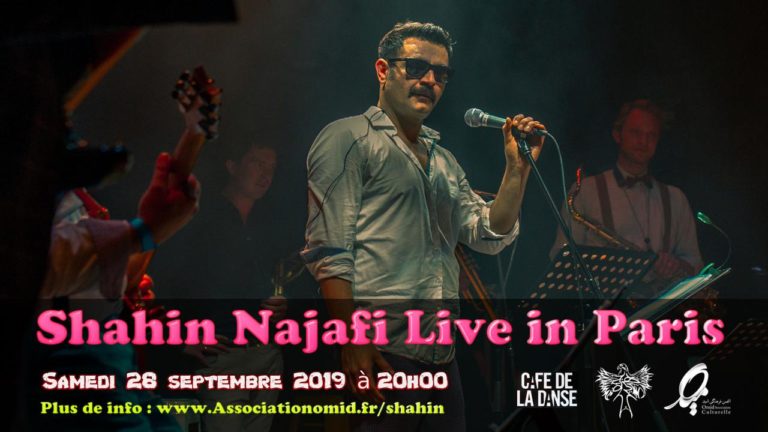 کنسرت شاهین نجفی در پاریس